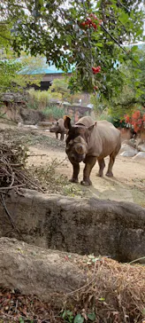 天王寺動物園に投稿された画像（2021/11/6）