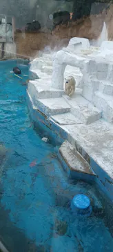 天王寺動物園に投稿された画像（2021/11/6）