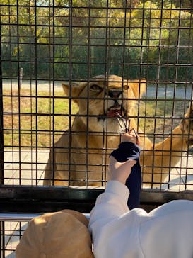 那須サファリパークに投稿された画像（2021/11/6）