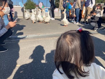 東武動物公園に投稿された画像（2021/11/6）