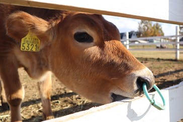 牧歌の里に投稿された画像（2021/11/6）