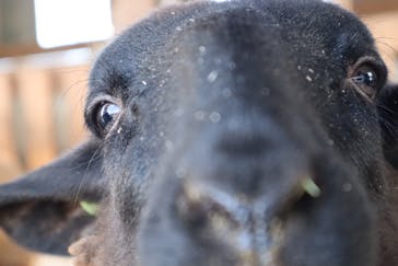 牧歌の里に投稿された画像（2021/11/6）