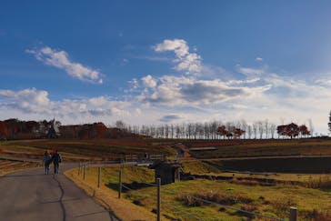 牧歌の里に投稿された画像（2021/11/6）