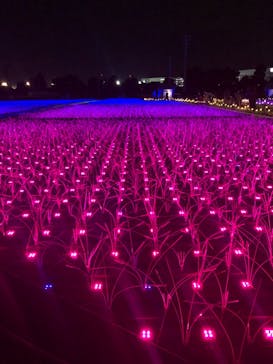 東京メガイルミに投稿された画像（2021/11/6）