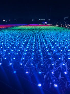 東京メガイルミに投稿された画像（2021/11/6）