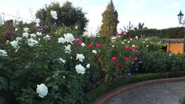 ひらかたパークに投稿された画像（2021/11/6）