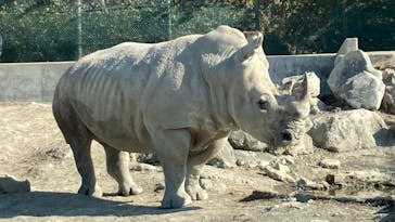 群馬サファリパークに投稿された画像（2021/11/6）