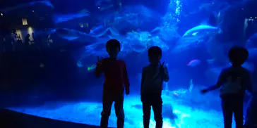 すみだ水族館に投稿された画像（2021/11/6）