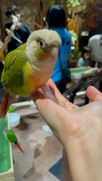 Moff animal world MARK IS みなとみらい店に投稿された画像（2021/11/6）