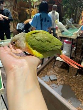 Moff animal world MARK IS みなとみらい店に投稿された画像（2021/11/6）