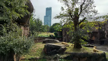 天王寺動物園に投稿された画像（2021/11/6）