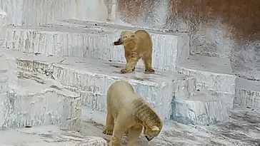 天王寺動物園に投稿された画像（2021/11/6）