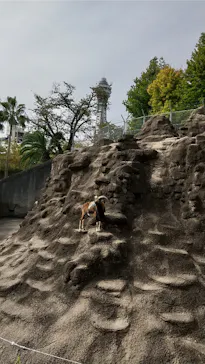 天王寺動物園に投稿された画像（2021/11/6）