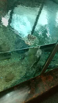 天王寺動物園に投稿された画像（2021/11/6）