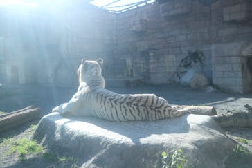 東武動物公園に投稿された画像（2021/11/6）