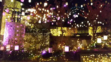 ひらかたパークに投稿された画像（2021/11/6）