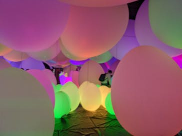 森ビル デジタルアート ミュージアム：エプソン チームラボボーダレスに投稿された画像（2021/11/6）