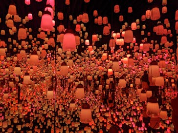 森ビル デジタルアート ミュージアム：エプソン チームラボボーダレスに投稿された画像（2021/11/6）