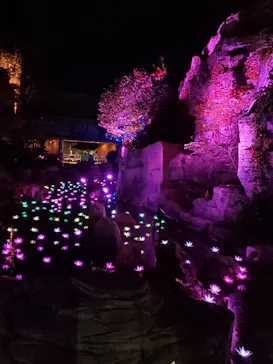 ひらかたパークに投稿された画像（2021/11/6）