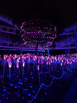 ひらかたパークに投稿された画像（2021/11/6）