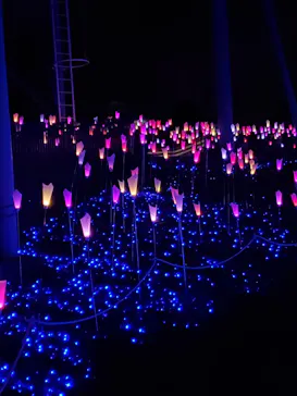 ひらかたパークに投稿された画像（2021/11/6）