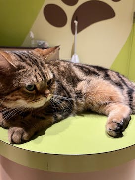 Moff animal world MARK IS みなとみらい店に投稿された画像（2021/11/6）