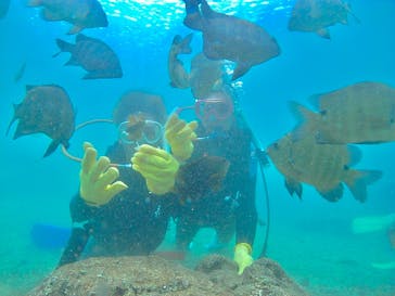 沖縄ダイビングショップシーモールに投稿された画像（2021/11/6）