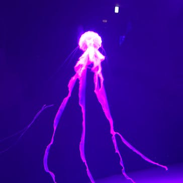 サンシャイン水族館に投稿された画像（2021/11/6）