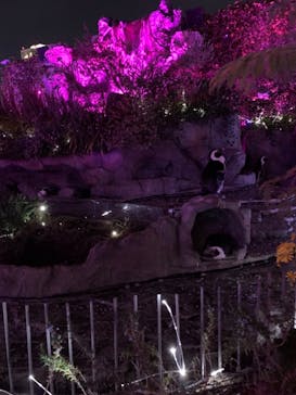 サンシャイン水族館に投稿された画像（2021/11/6）