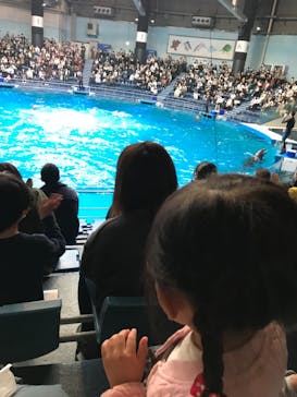 マクセル アクアパーク品川に投稿された画像（2021/11/6）