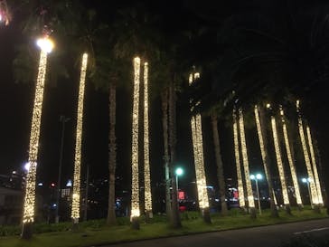 オーシャンスパ Fuuaに投稿された画像（2021/11/6）