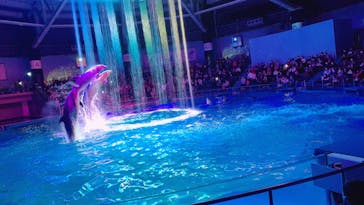 マクセル アクアパーク品川に投稿された画像（2021/11/6）