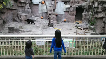 天王寺動物園に投稿された画像（2021/11/6）