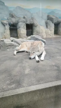天王寺動物園に投稿された画像（2021/11/6）