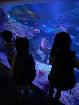 すみだ水族館に投稿された画像（2021/11/6）