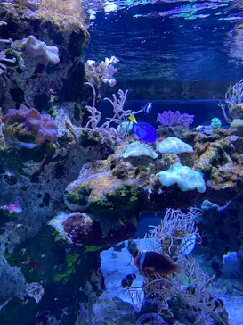 すみだ水族館に投稿された画像（2021/11/6）