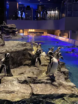 すみだ水族館に投稿された画像（2021/11/6）