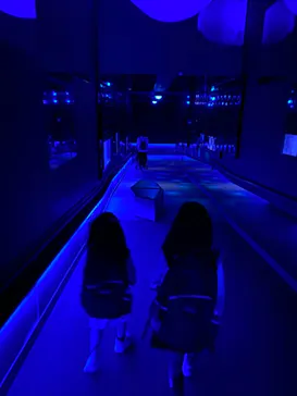 すみだ水族館に投稿された画像（2021/11/6）