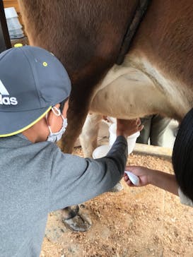 まかいの牧場に投稿された画像（2021/11/6）