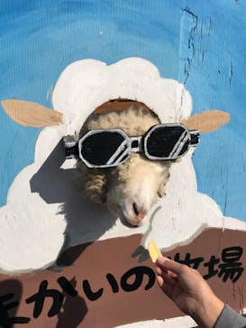 まかいの牧場に投稿された画像（2021/11/6）