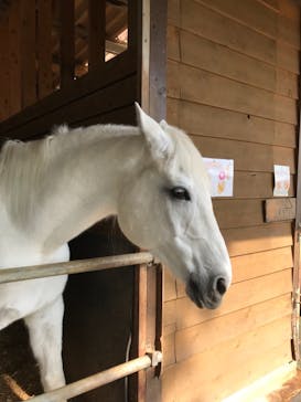 まかいの牧場に投稿された画像（2021/11/6）