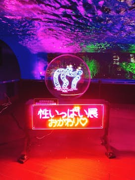 サンシャイン水族館に投稿された画像（2021/11/6）