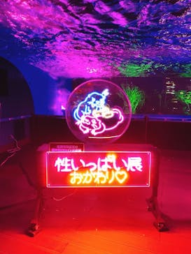 サンシャイン水族館に投稿された画像（2021/11/6）