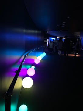 サンシャイン水族館に投稿された画像（2021/11/6）