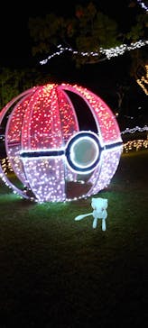 美らヤシパークオキナワ・東南植物楽園に投稿された画像（2021/11/6）