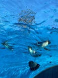 サンシャイン水族館に投稿された画像（2021/11/7）