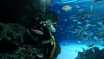 サンシャイン水族館に投稿された画像（2021/11/6）