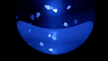 サンシャイン水族館に投稿された画像（2021/11/6）