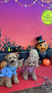 わんダフルネイチャーヴィレッジに投稿された画像（2021/11/6）