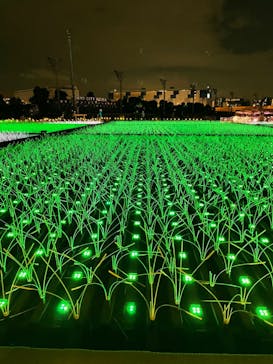 東京メガイルミに投稿された画像（2021/11/6）